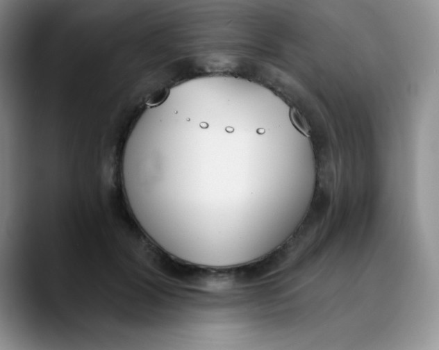 X0000089850604200707191903