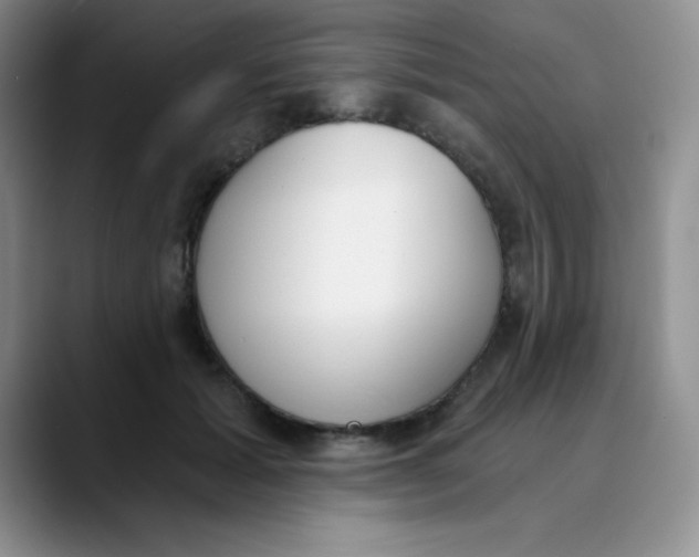 X0000089850605200707191903