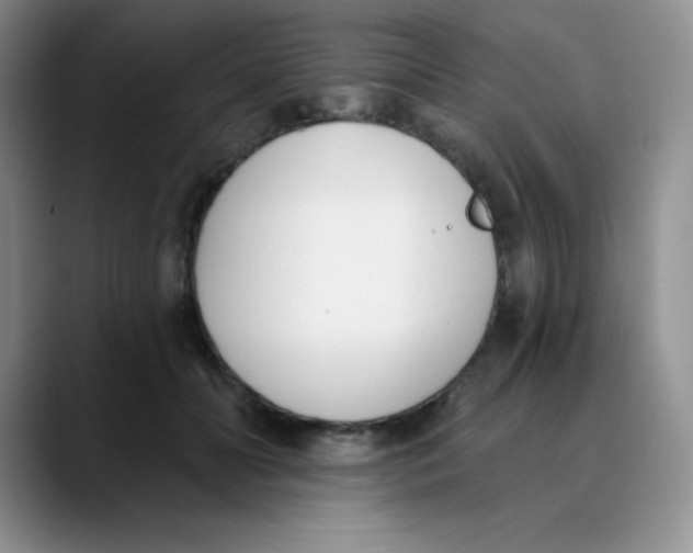 X0000089850606200707191903