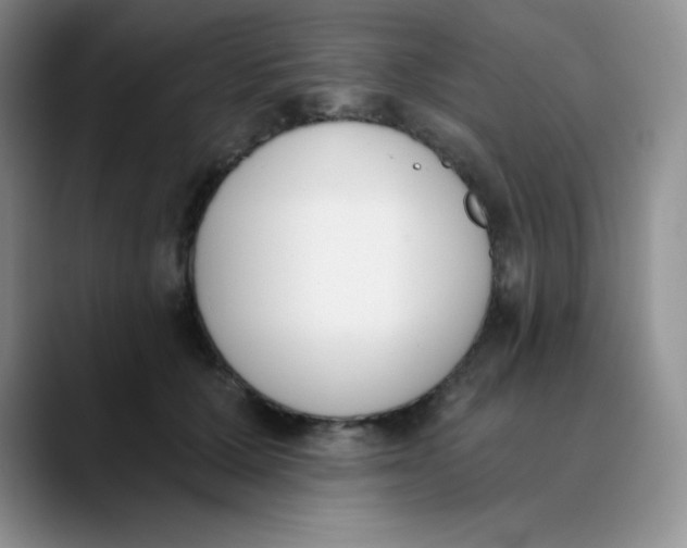 X0000089850607200707191903