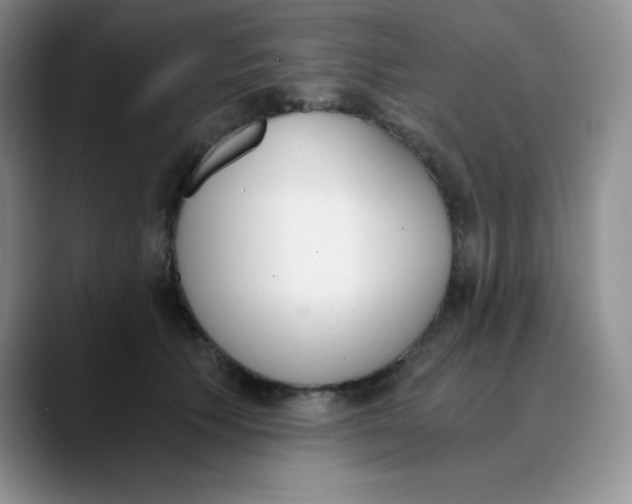 X0000089850609200707191903