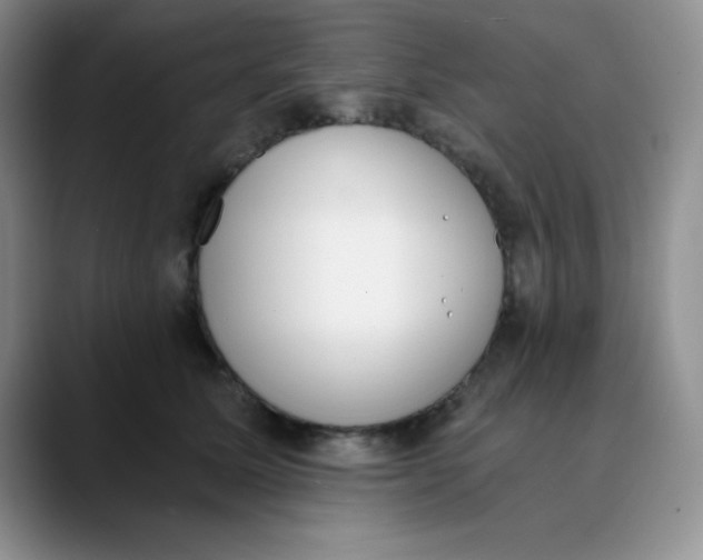 X0000089850611200707191903