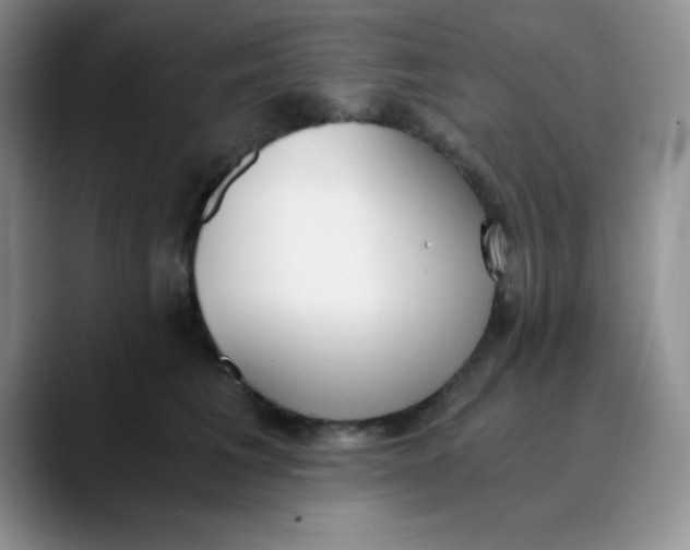 X0000089850613200707191903