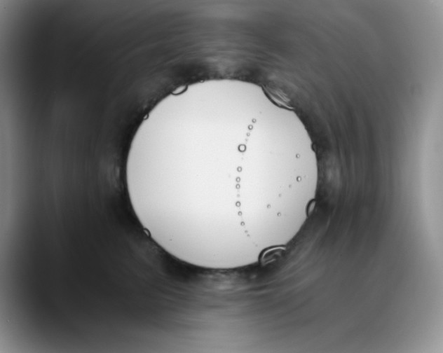 X0000089850615200707191903