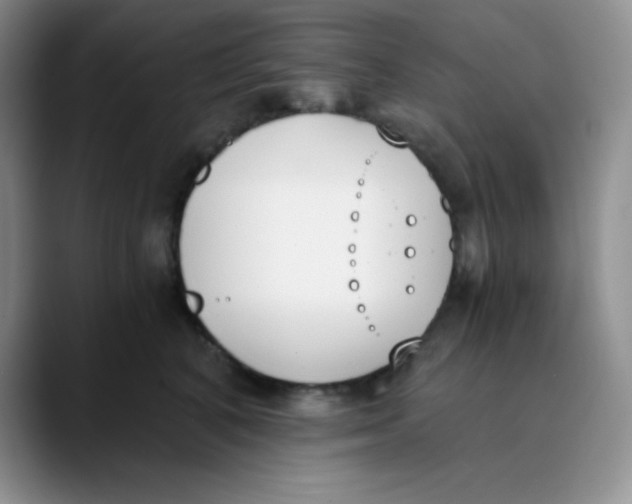 X0000089850616200707191903