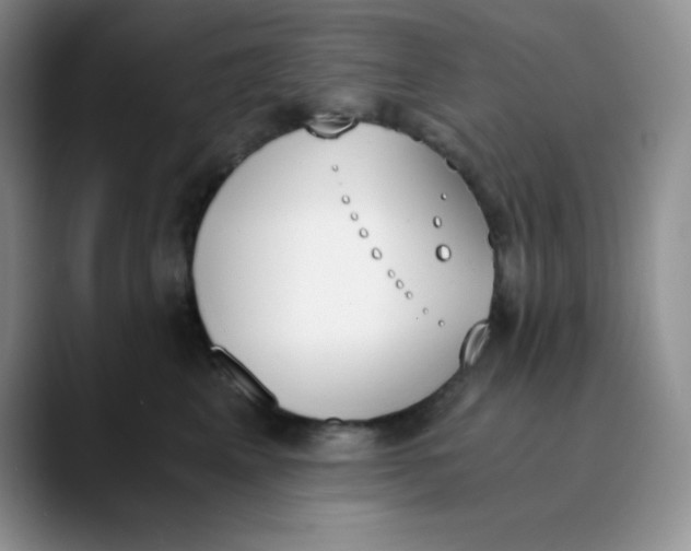 X0000089850617200707191903