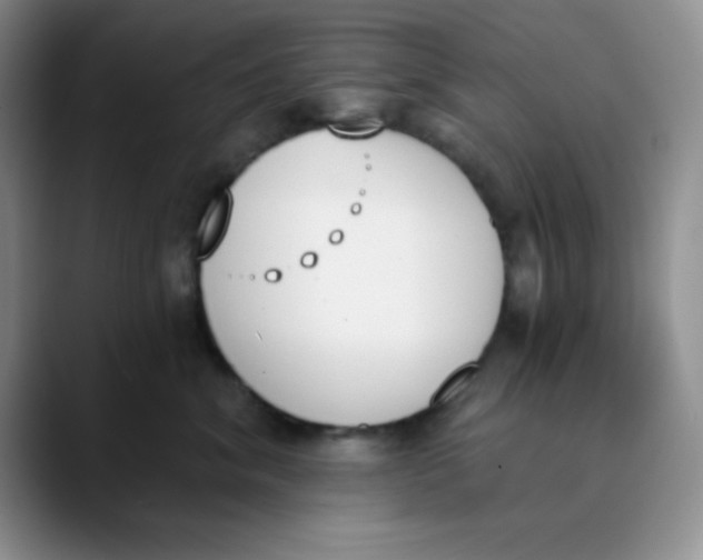 X0000089850620200707191903