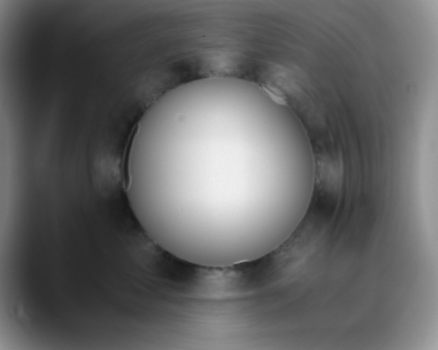 X0000089850621200707191903