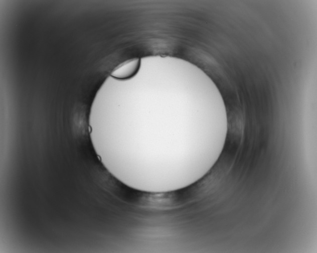 X0000089850622200707191903