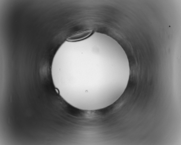 X0000089850623200707191903