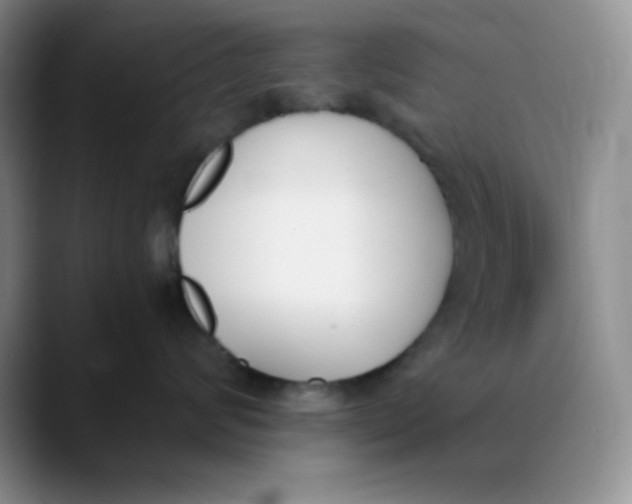 X0000089850624200707191903