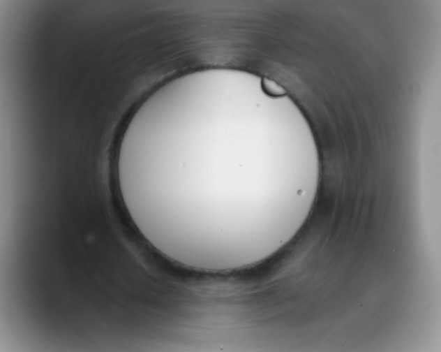 X0000089850626200707191903