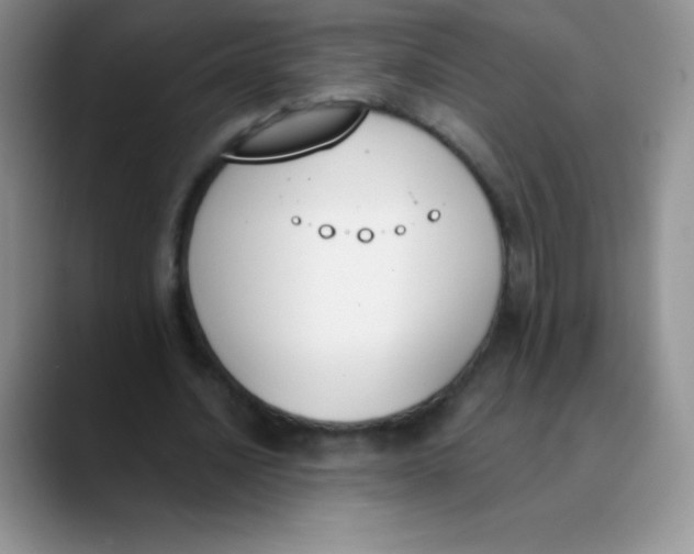 X0000089850628200707191903