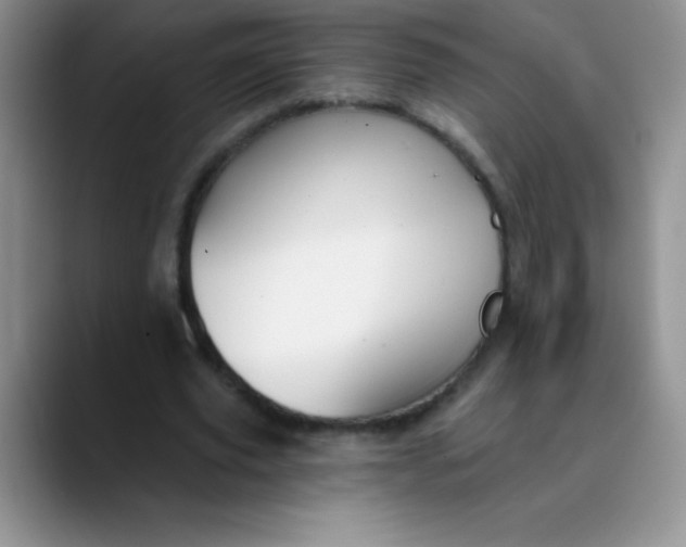 X0000089850629200707191903