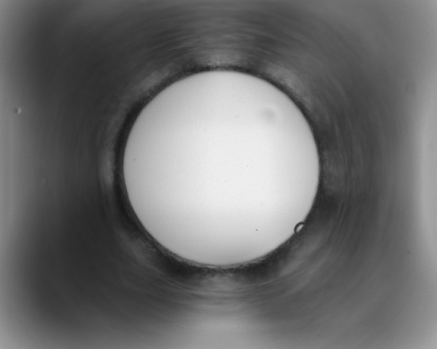 X0000089850631200707191903