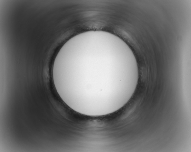 X0000089850634200707191903