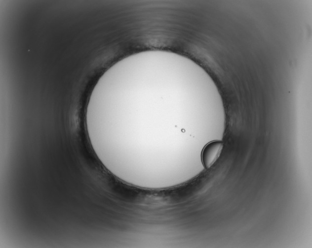 X0000089850635200707191903