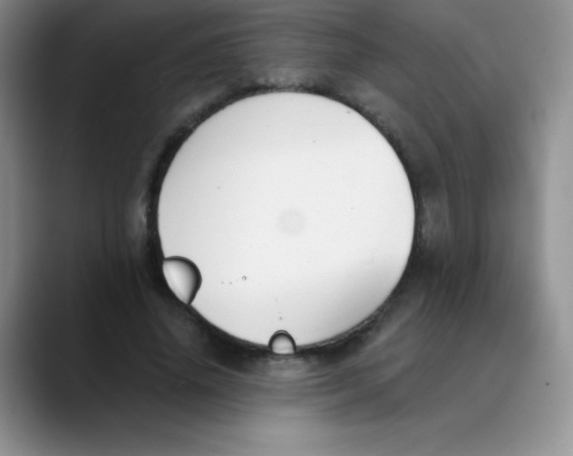 X0000089850636200707191903