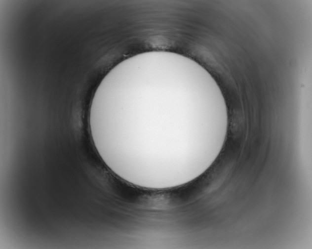 X0000089850639200707191903