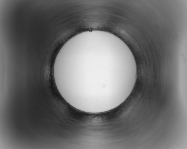 X0000089850640200707191903