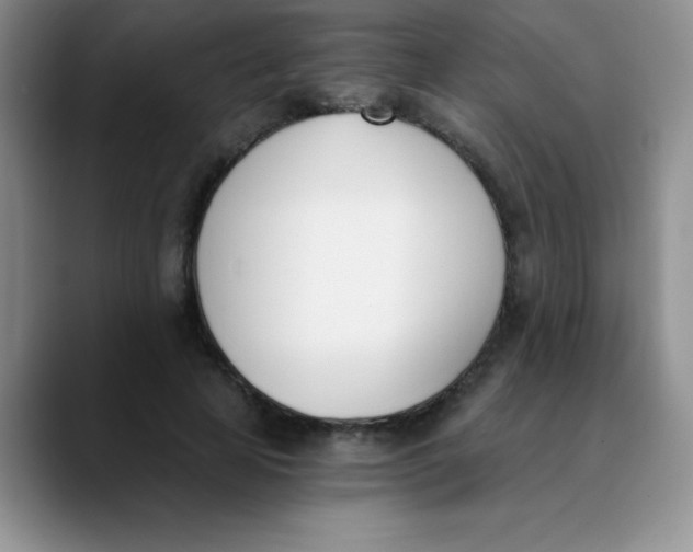 X0000089850641200707191903