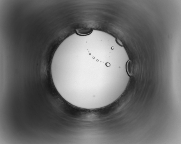 X0000089850643200707191903