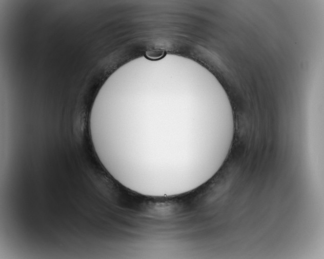 X0000089850645200707191903