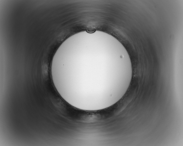 X0000089850646200707191903