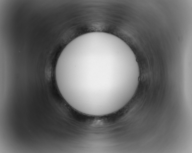 X0000089850647200707191903