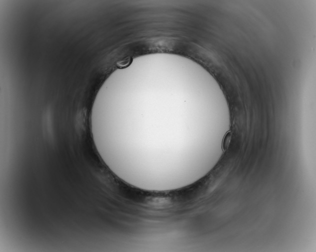 X0000089850649200707191903