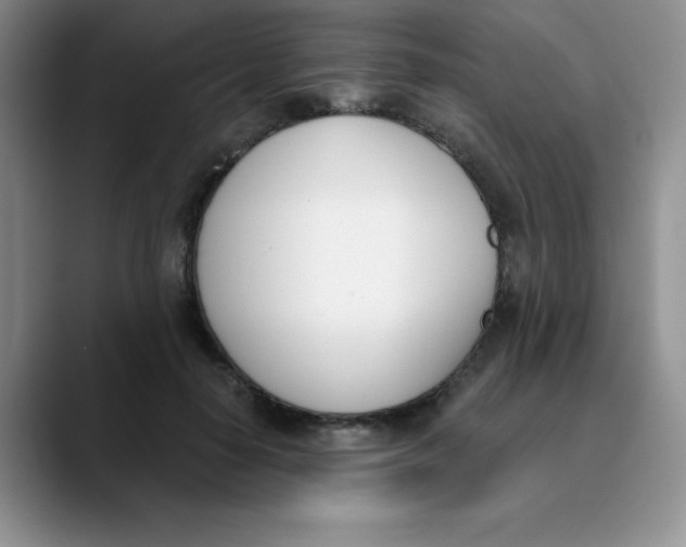 X0000089850650200707191903