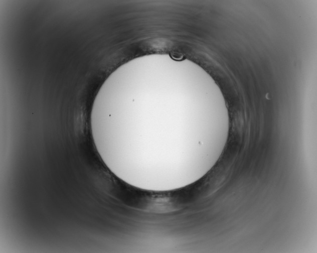 X0000089850651200707191903