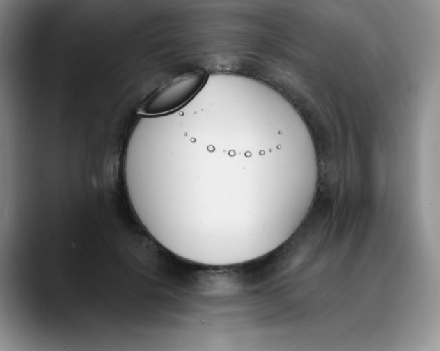 X0000089850652200707191903