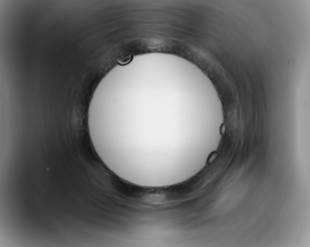 X0000089850653200707191903