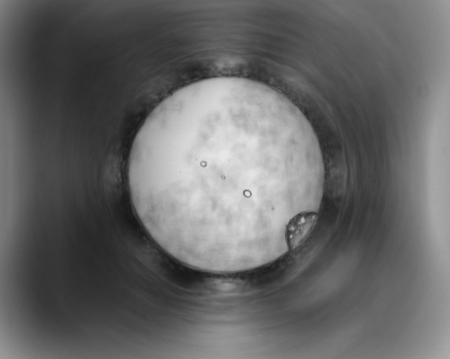 X0000089850654200707191903