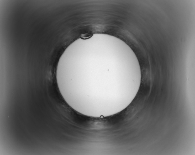 X0000089850655200707191903