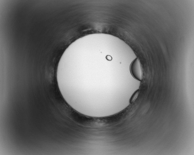 X0000089850656200707191903