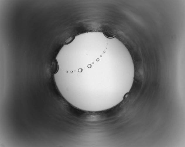 X0000089850658200707191903