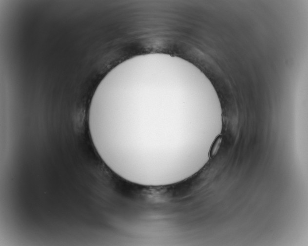 X0000089850660200707191903