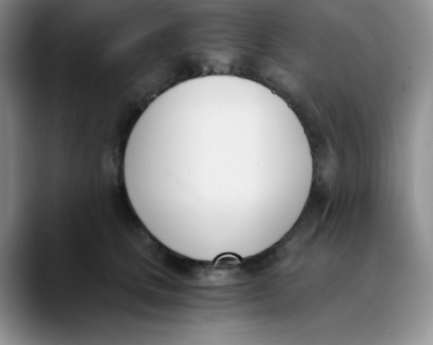 X0000089850661200707191903