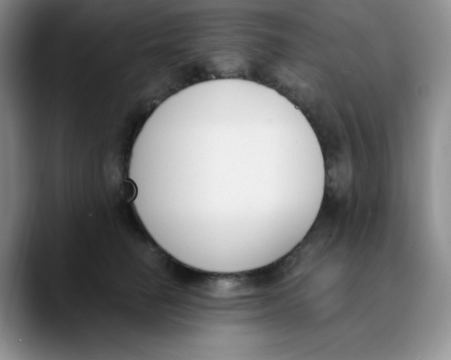 X0000089850662200707191903