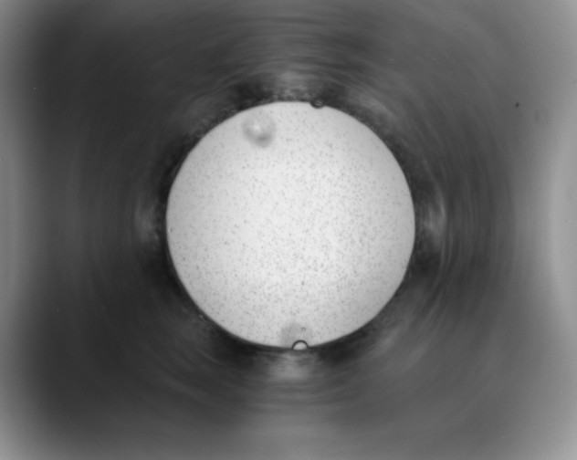 X0000089850663200707191903