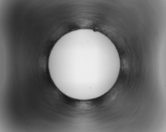 X0000089850664200707191903