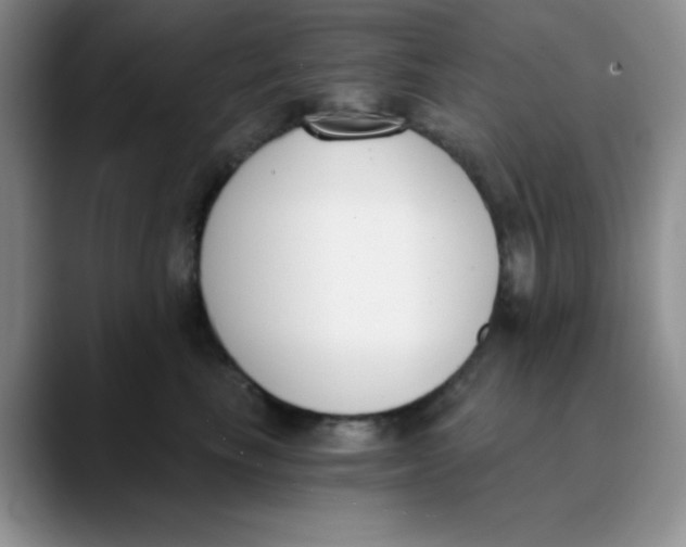 X0000089850665200707191903