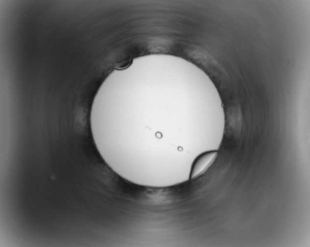 X0000089850667200707191903