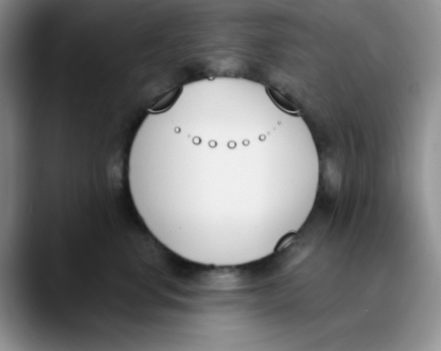 X0000089850668200707191903