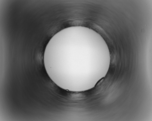 X0000089850669200707191903