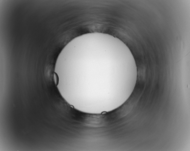 X0000089850671200707191903