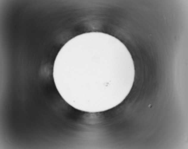 X0000089850672200707191903