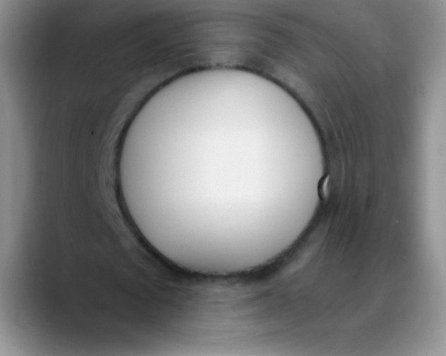 X0000089850673200707191903